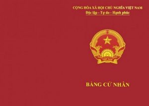 Làm Bằng Cử Nhân Ở Đâu? Bằng Cử Nhân Là Bằng Đại Học Phải Không?